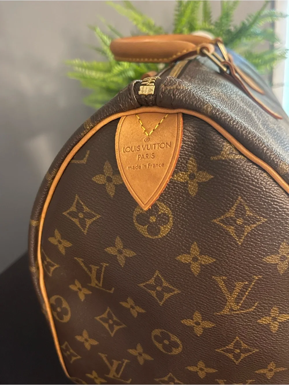 Louis Vuitton iconic louis